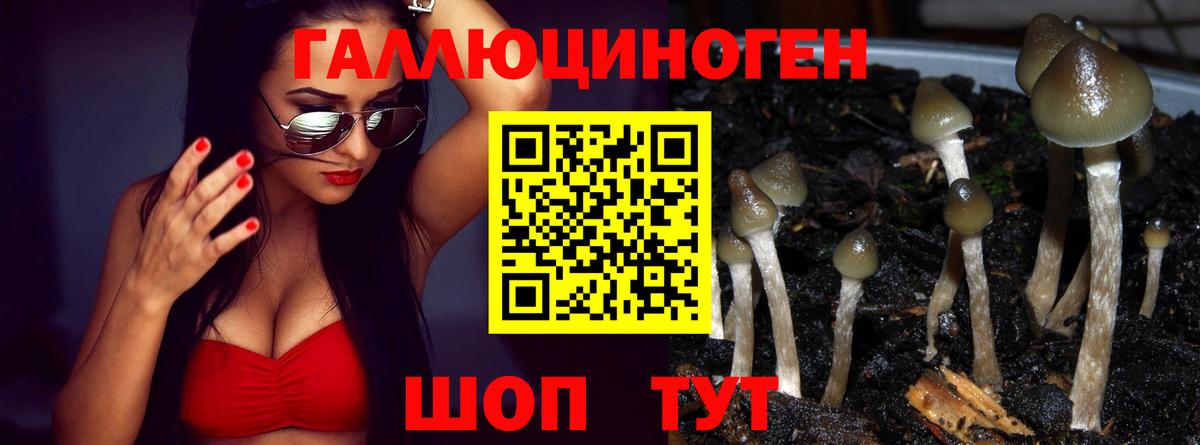 Ефремов  Псилоцибиновые грибы MAGIC MUSHROOMS  купить  цена  Вход с VPN 